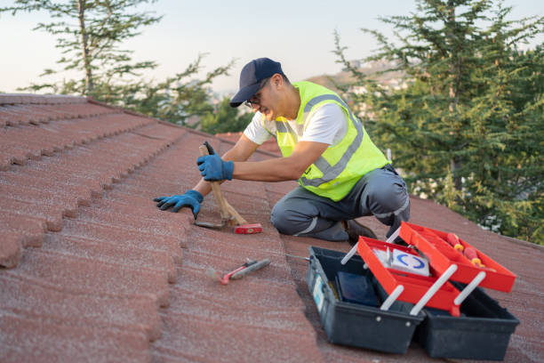 Best Sealant for Roof  in Howland Center, OH