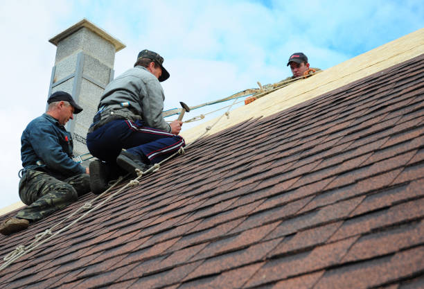 Best Storm Damage Roof Repair  in Howland Center, OH